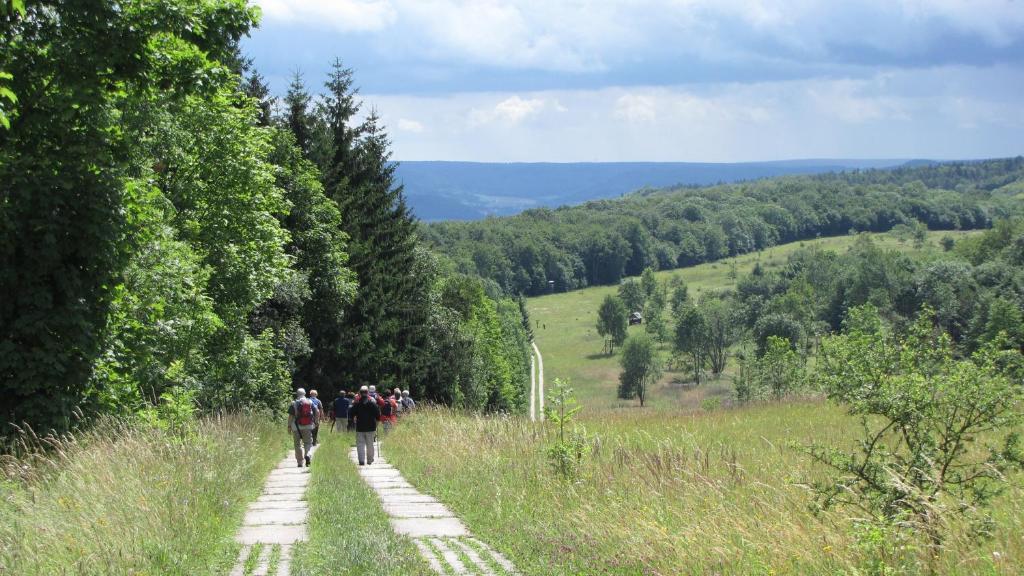 Landhaus Am Westerwald Martinfeld Εξωτερικό φωτογραφία